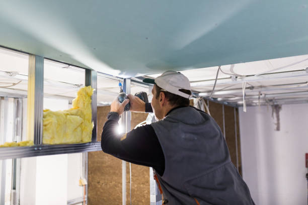 Best Pipe and Duct Insulation  in Dyersville, IA